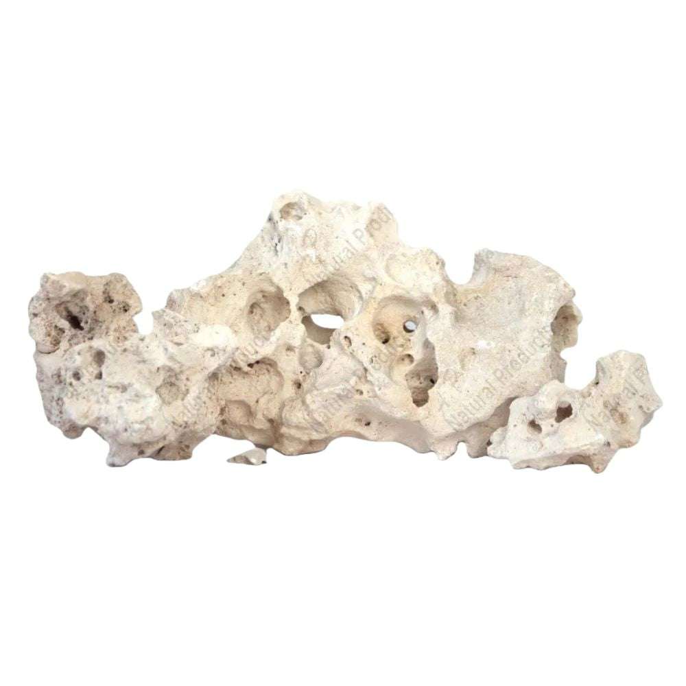 Aquascape Rock - Naturals Texas Holey Aqua Premium