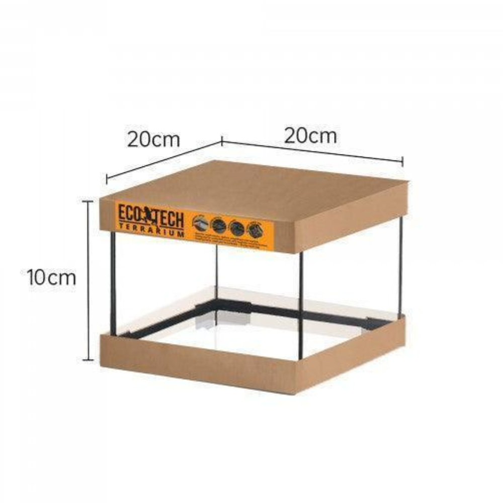 Eco Tech Terrarium 20 x 20 x 10cm Pet Pacific