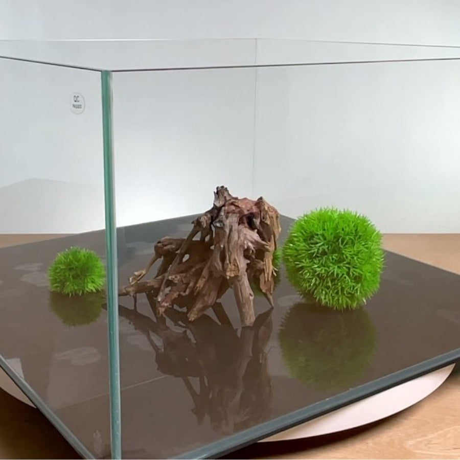 Tranquility 45 Degrees Opti clear 61x46x46cm RIMLESS 8mm thickness [PICK UP ONLY]