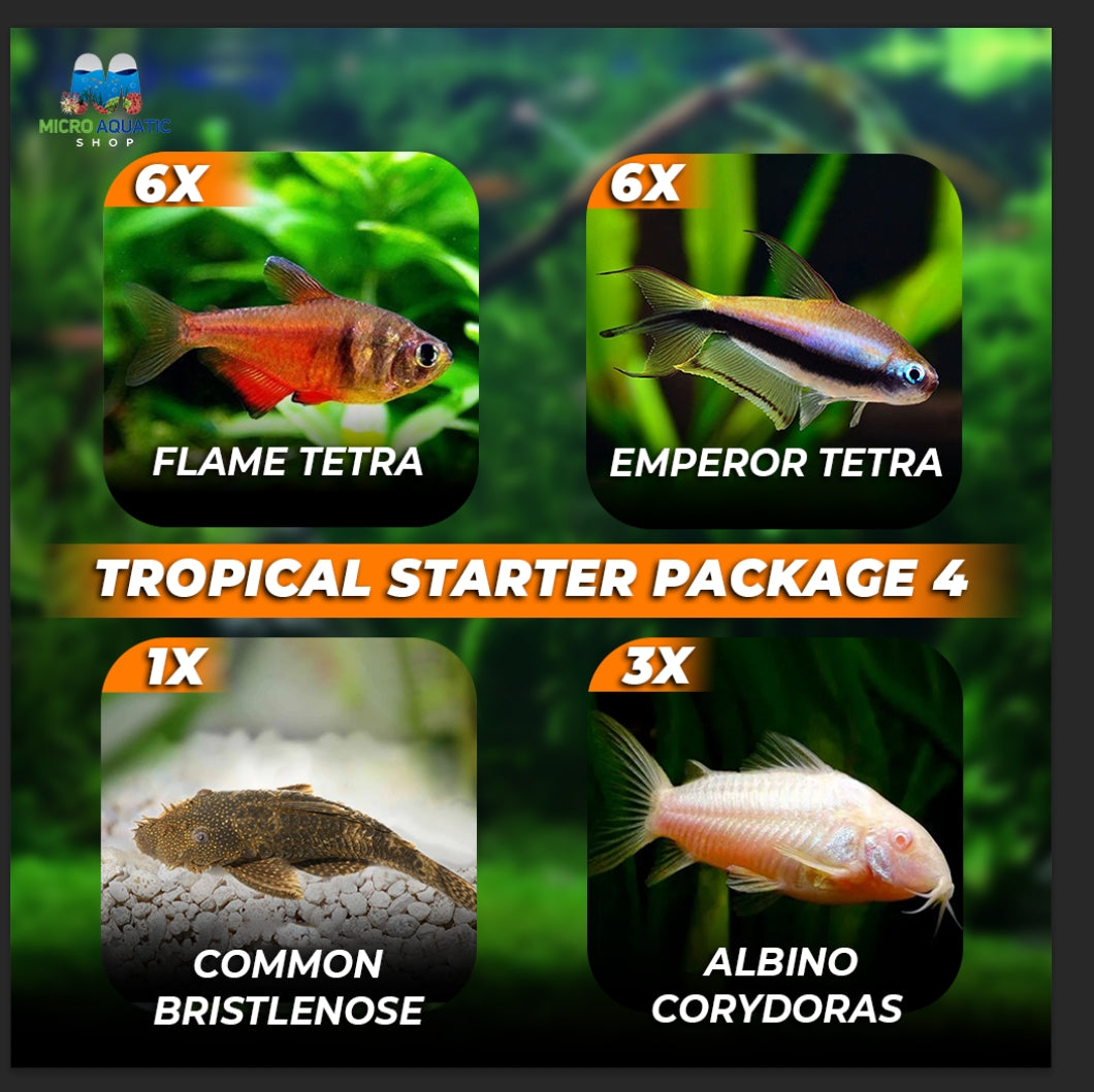 *New* 16x Tropical Starter Package 4