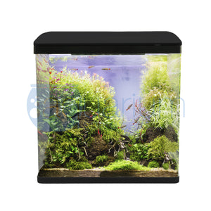 Bioscape Tropic Aquariums Round Front Corners 40x25x24cm 24L 5mm thickness Pet Pacific