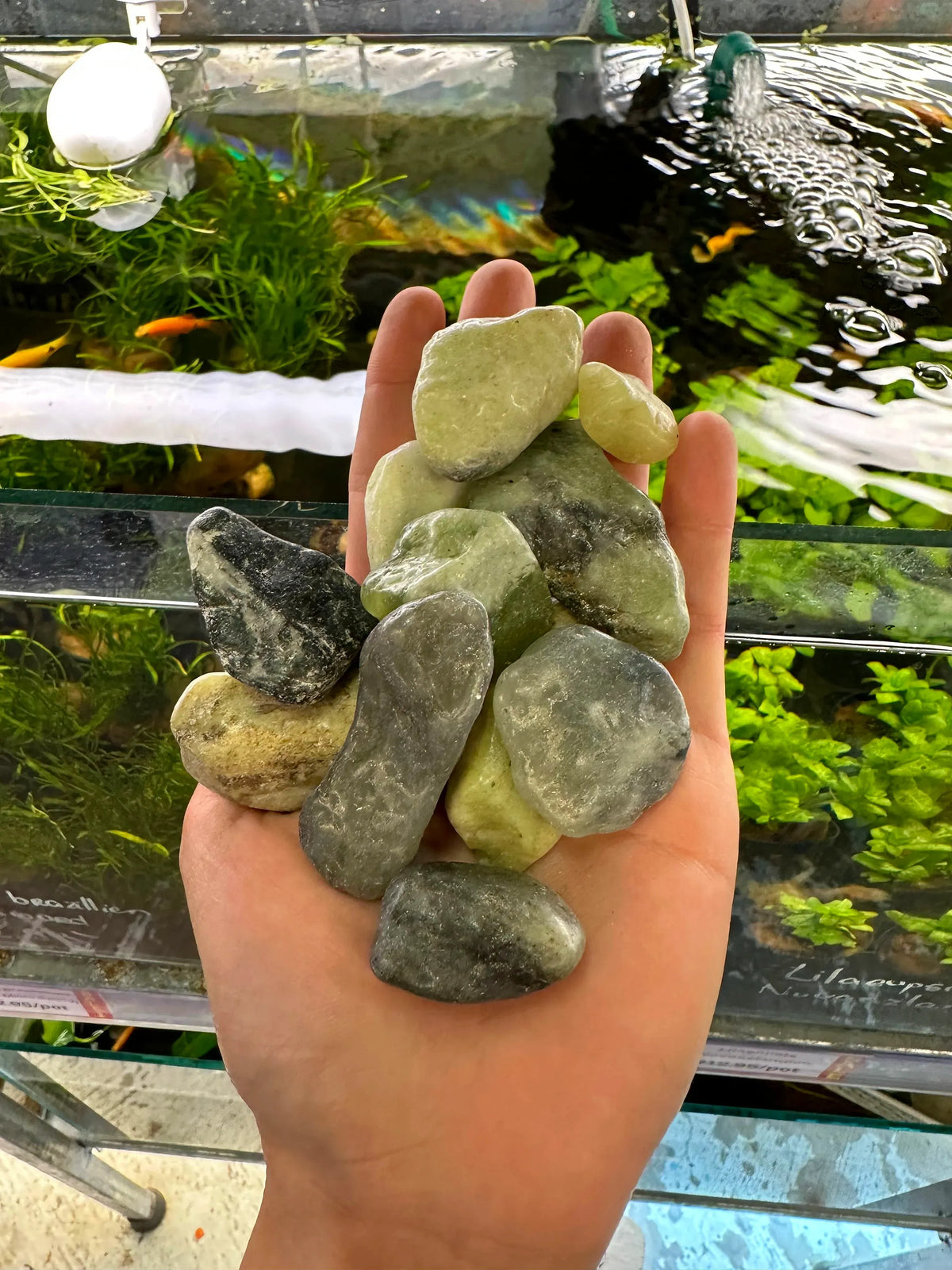 Aquascape Jade stone