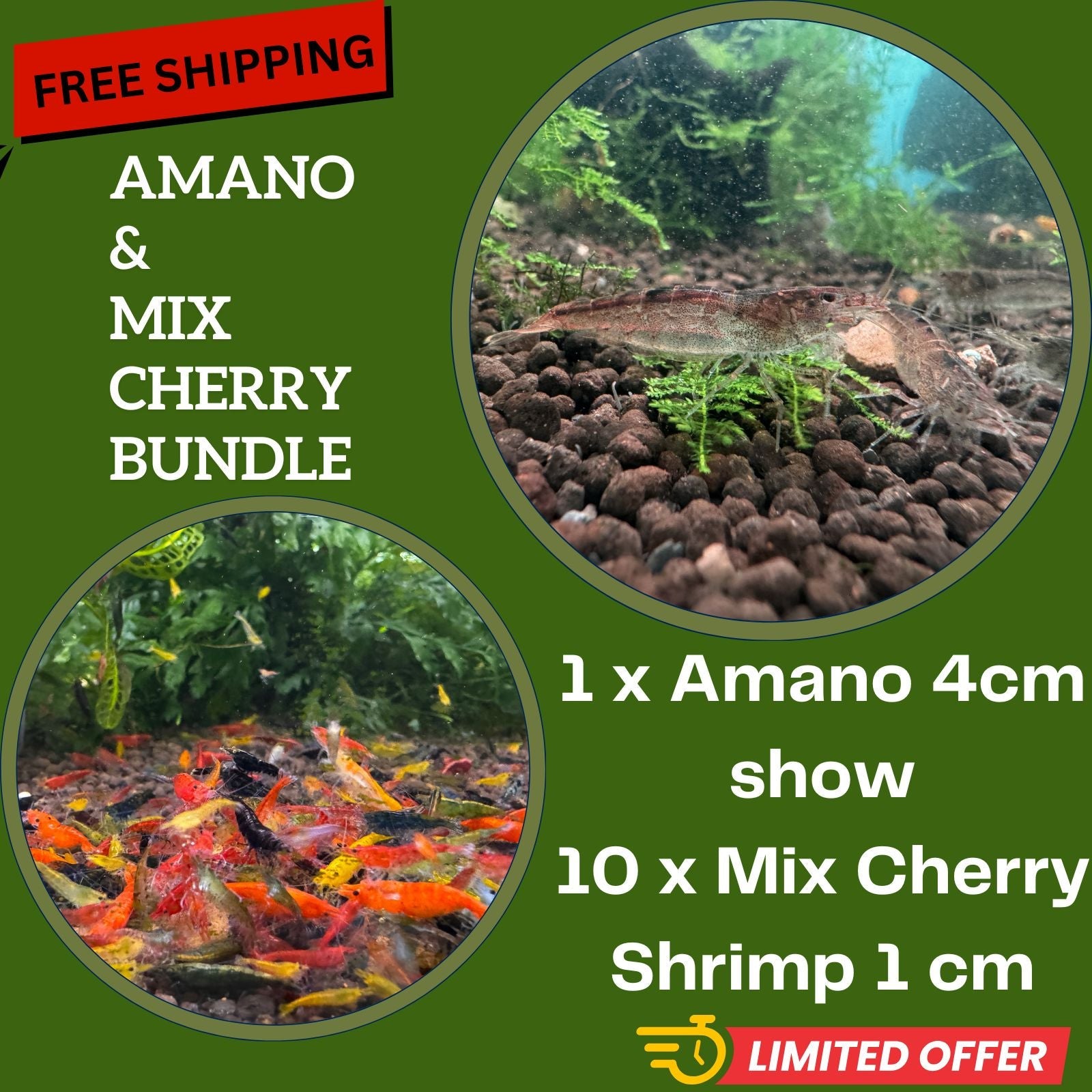 FREE SHIPPING- Amano and Mix Cherry Bundle Micro Aquatic Shop