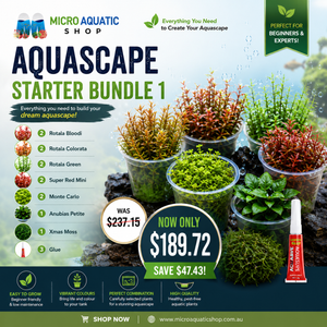Aquascape Starter Bundle 1 Micro Aquatic Shop