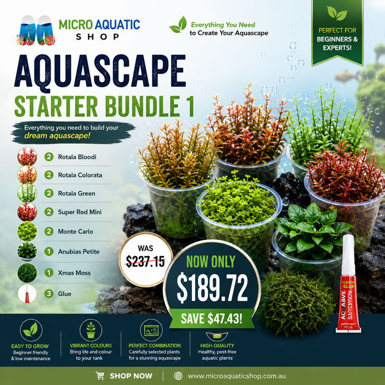 Aquascape Starter Bundle 1 Micro Aquatic Shop