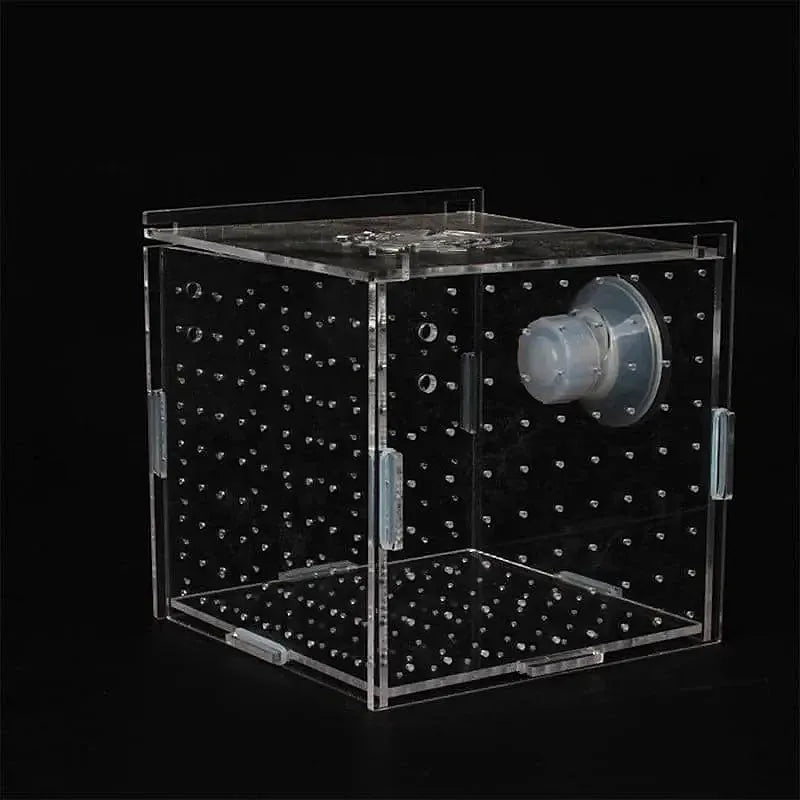 Aquarium Multi Grid Isolation Box