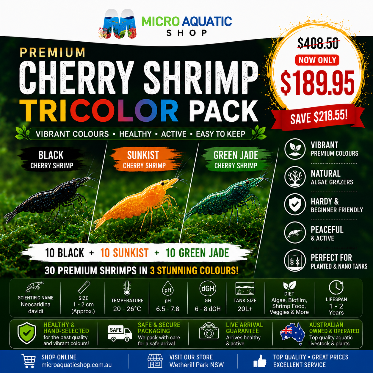 Premium Cherry Shrimp Tricolor Pack - 30 Shrimps (Black/Sunkist/Green Jade) Micro Aquatic Shop