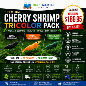 Premium Cherry Shrimp Tricolor Pack - 30 Shrimps (Black/Sunkist/Green Jade) Micro Aquatic Shop