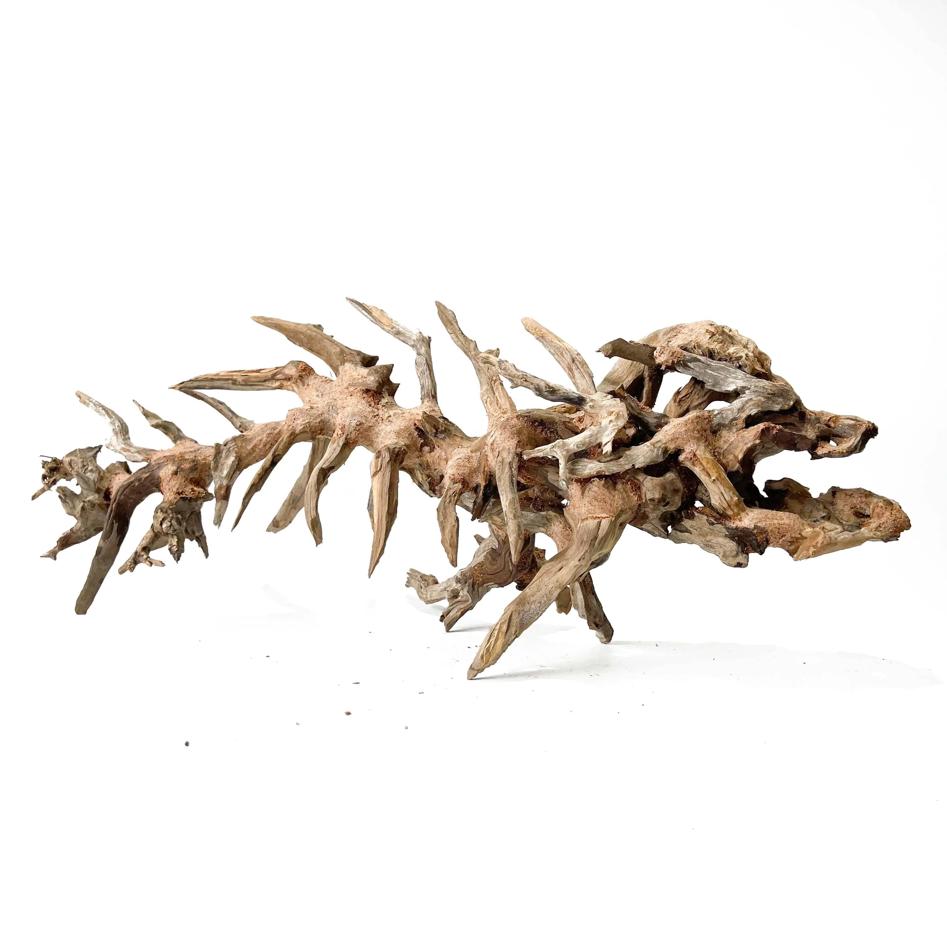 Driftwood Arts - Prehistoric Fish