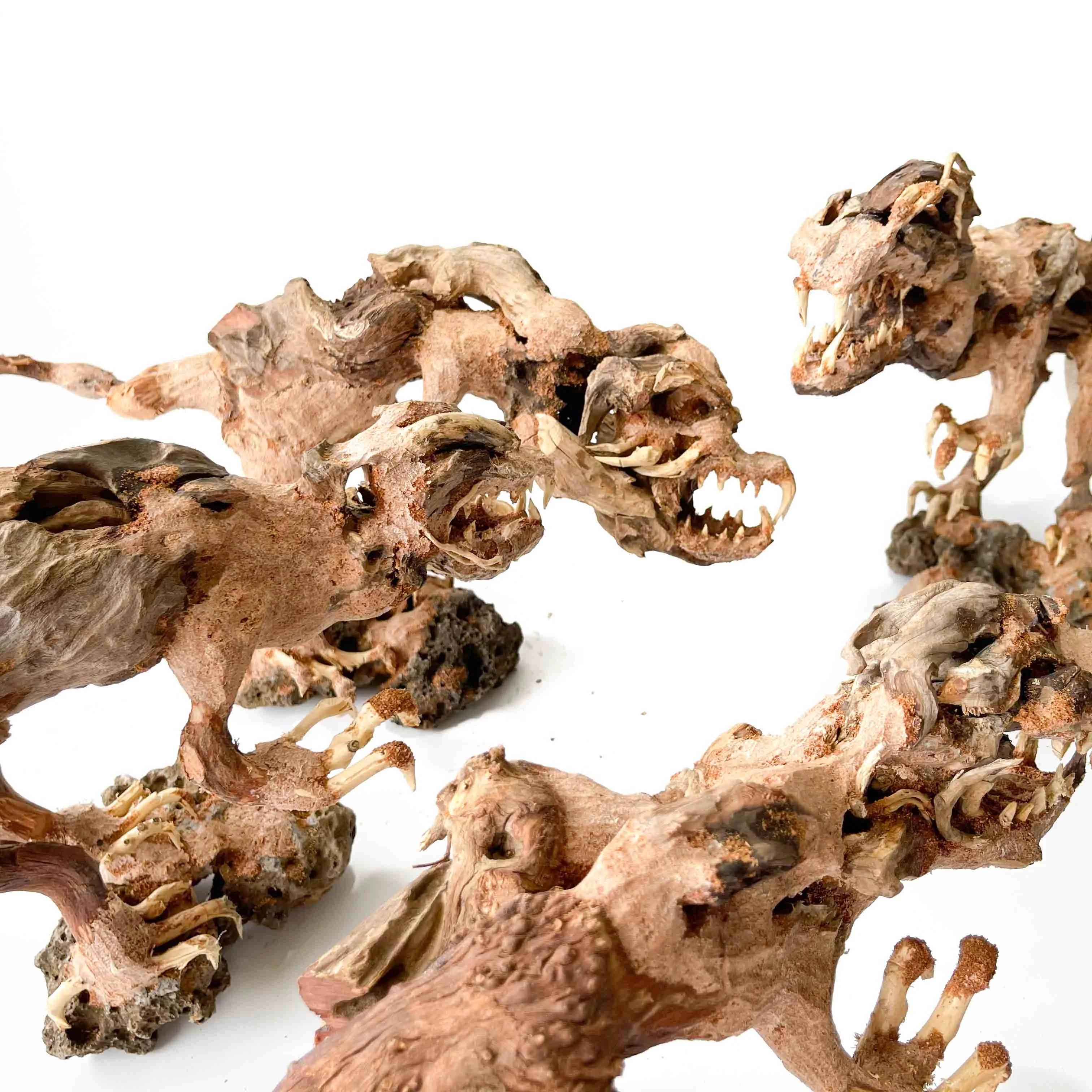 Driftwood Arts - Prehistoric T Rex