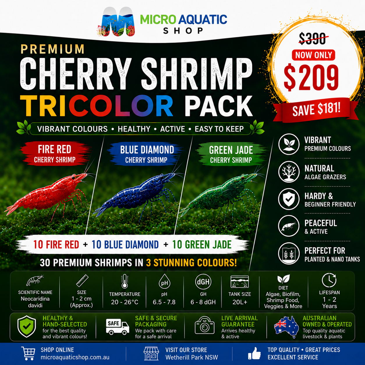 Premium Cherry Shrimp Tricolor Pack - 30 Shrimps Bundle 3 Micro Aquatic Shop