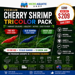 Premium Cherry Shrimp Tricolor Pack - 30 Shrimps Bundle 3 Micro Aquatic Shop
