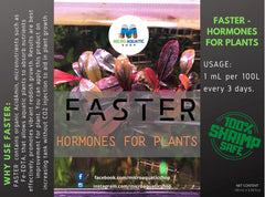 Faster - Hormones For Plants