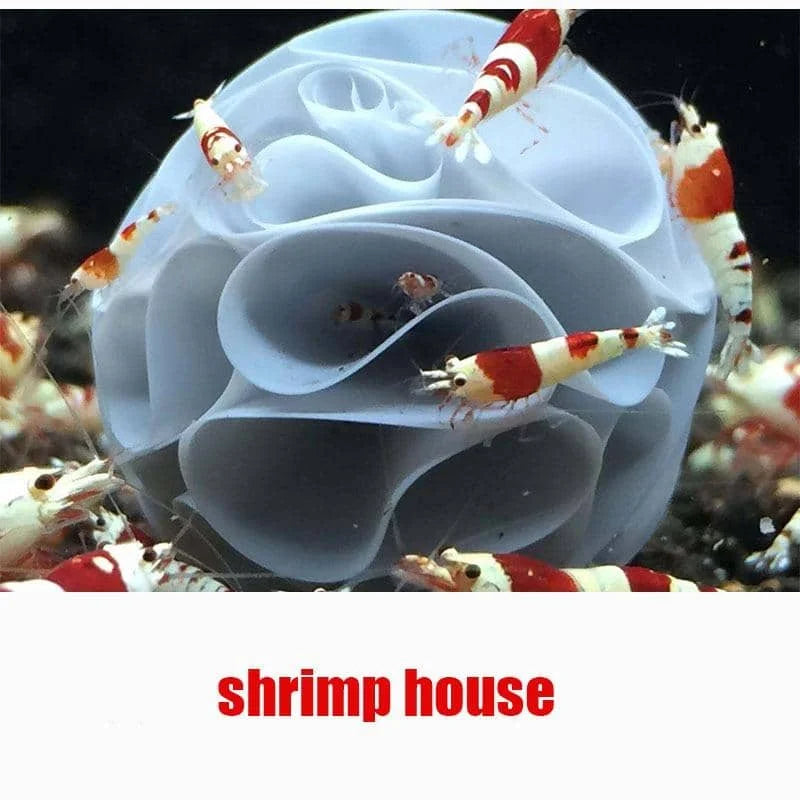 Shrimp Egg Incubator - baby shrimp shelter