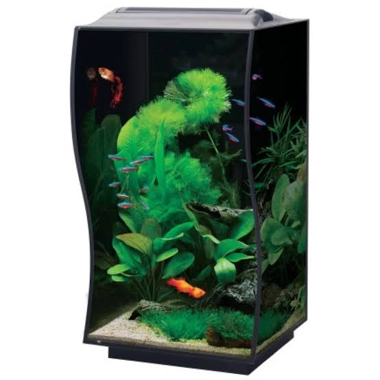 Bioscape CURVE Nano Aquarium Black 50 x 36 x 36cm Micro Aquatic Shop