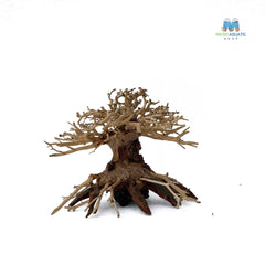 Masterpiece Bonsai Driftwood ~ 15 x 20 cm | A - 11