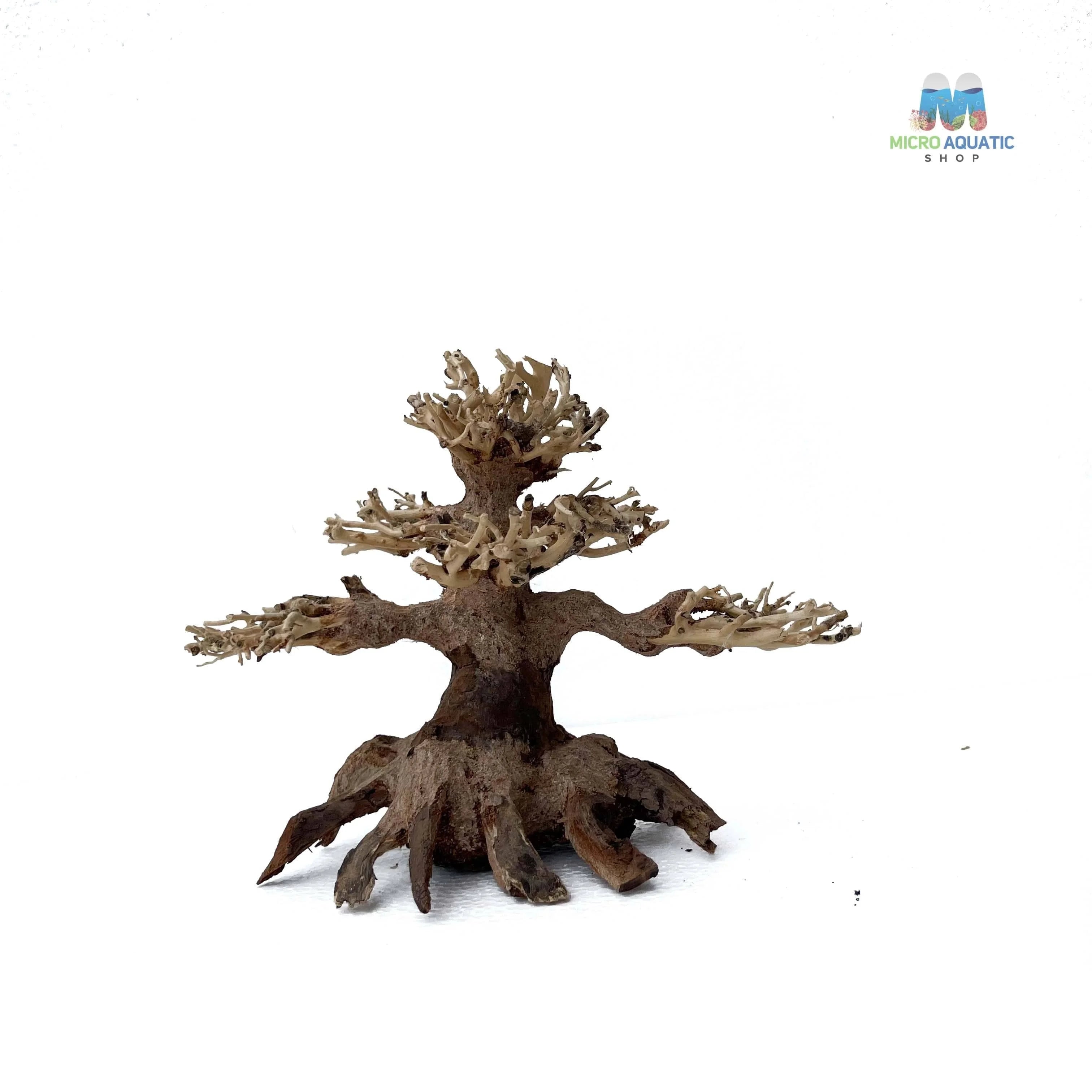 Masterpiece Bonsai Driftwood ~ 15 x 20 cm | A - 12