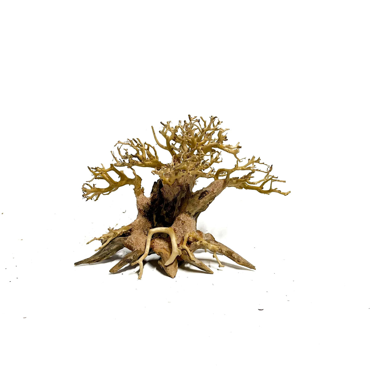 World Tree | Bonsai Driftwood - 15 x 20 cm | S - 5z