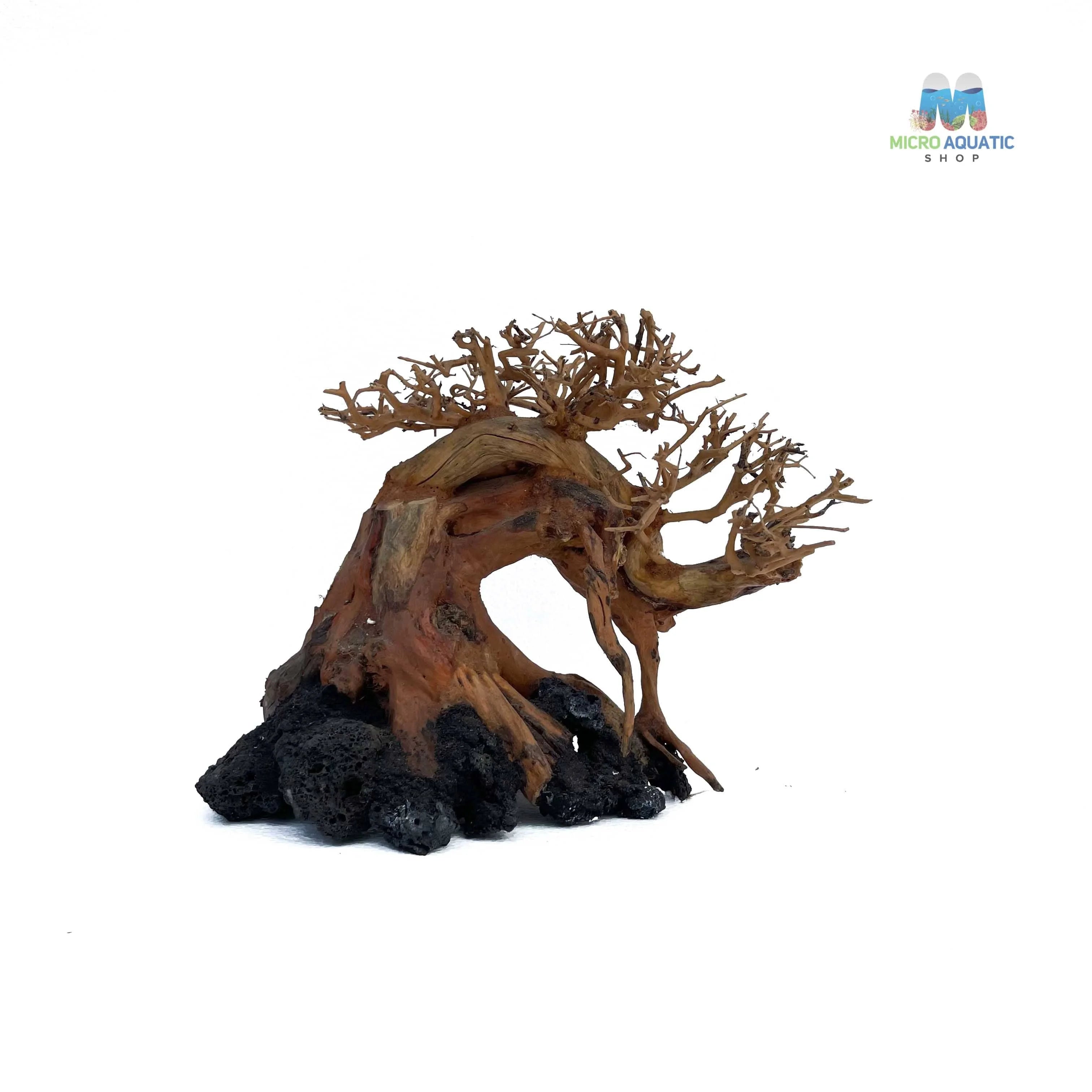 Masterpiece Bonsai Driftwood ~ 20 x 30 cm | B - 15