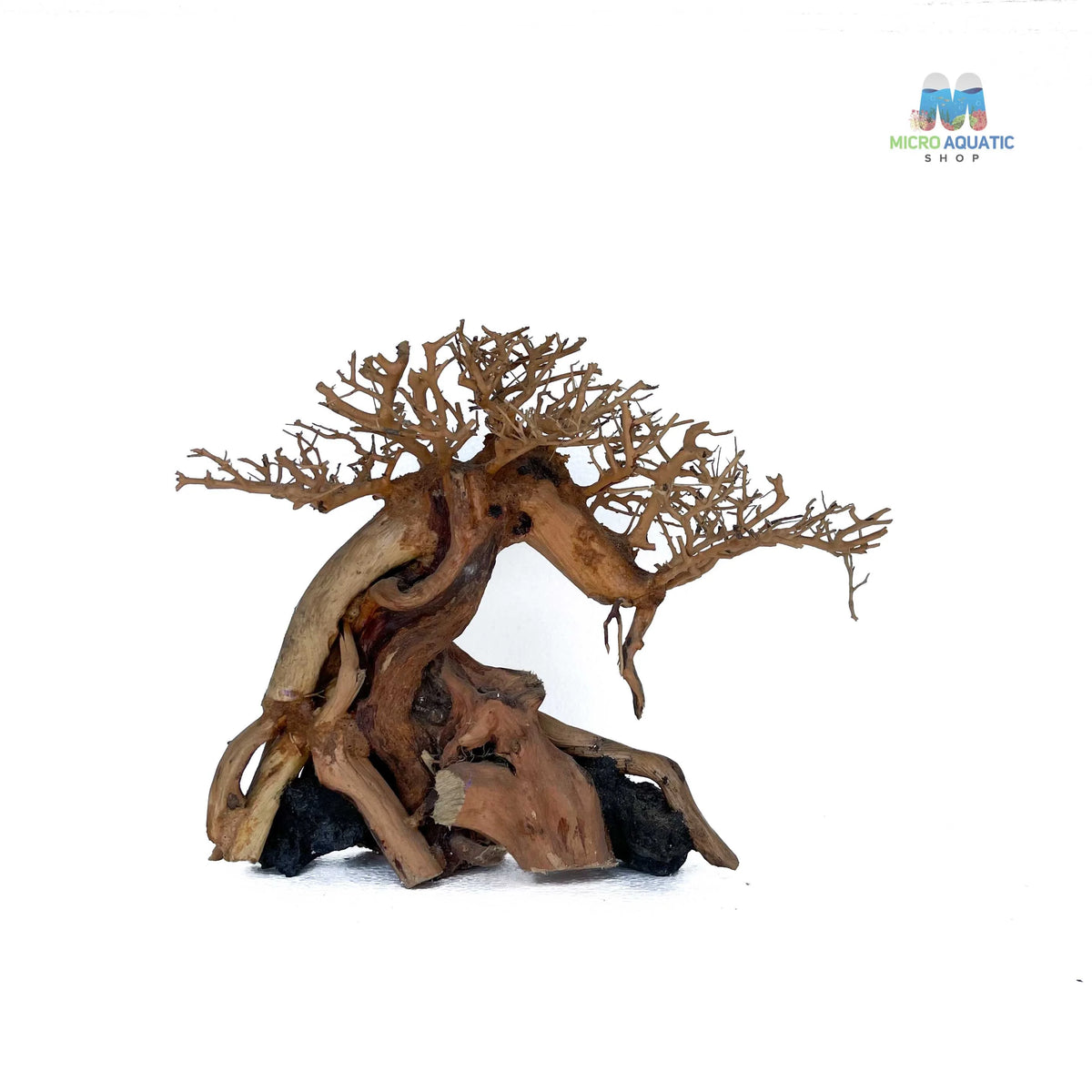 Masterpiece Bonsai Driftwood ~ 25 x 40 cm | C - 09