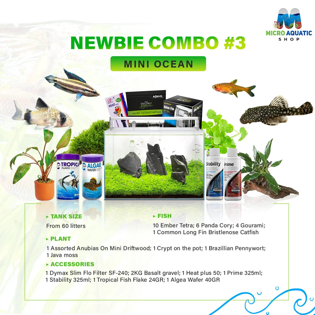 MINI OCEAN COMBO: FOR NEWBIE FISH & PLANT LOVER