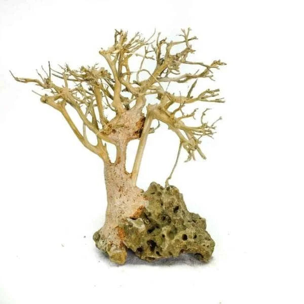 Nature style Driftwood tree on Volcanic Rock -  10cm Tall