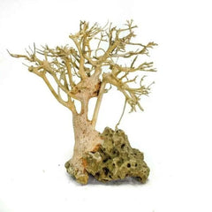 Nature style Driftwood tree on Volcanic Rock -  10cm Tall