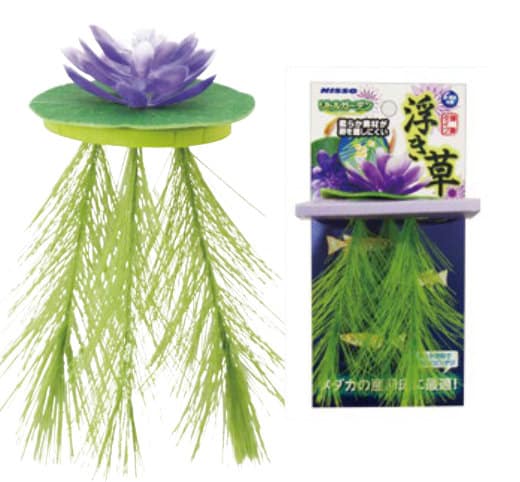 Nisso Floating Lily Purple (NAP-521)