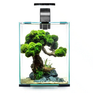 AQUAEL Shrimp Day & Night Set 10L Micro Aquatic Shop