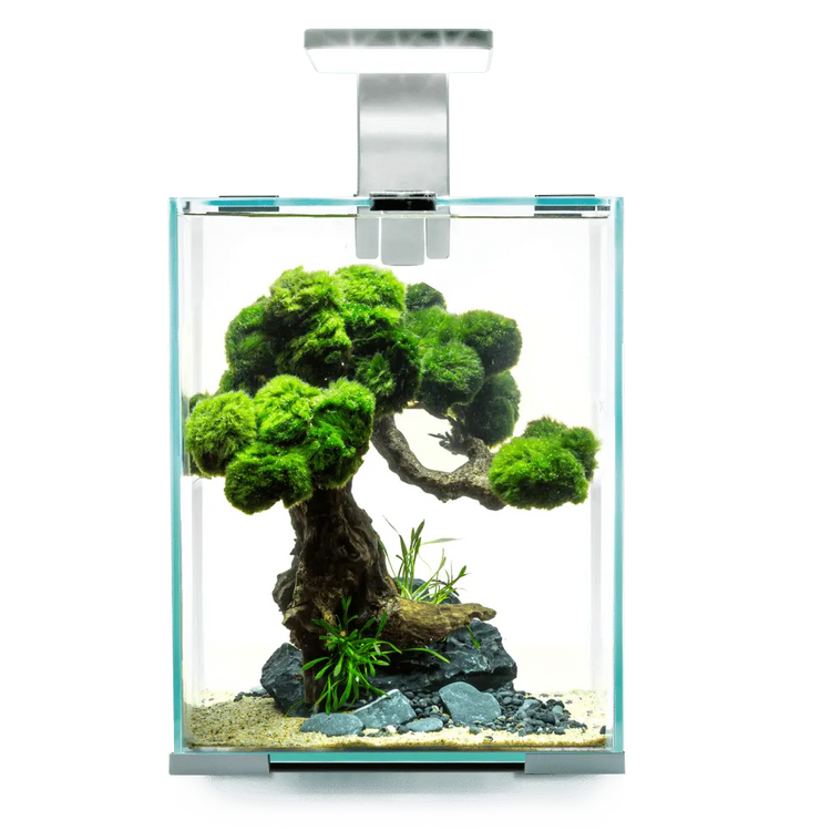 Aquael Shrimp Set Day &amp; Night 10 White Micro Aquatic Shop