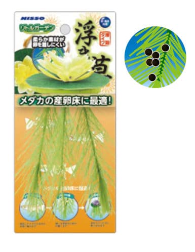 Nisso Floating Lily Yellow (NAP-522)