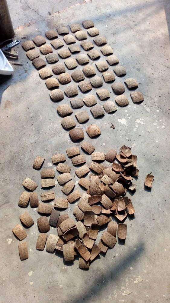 Exoaquaristic Aquarium Accessories Coco Shell for aquarium
