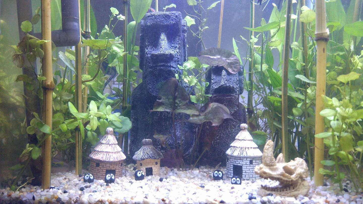Micro Aquatic Shop Aquarium Decorations Easter Island Heads- Stone Statue- Aquarium Decorations
