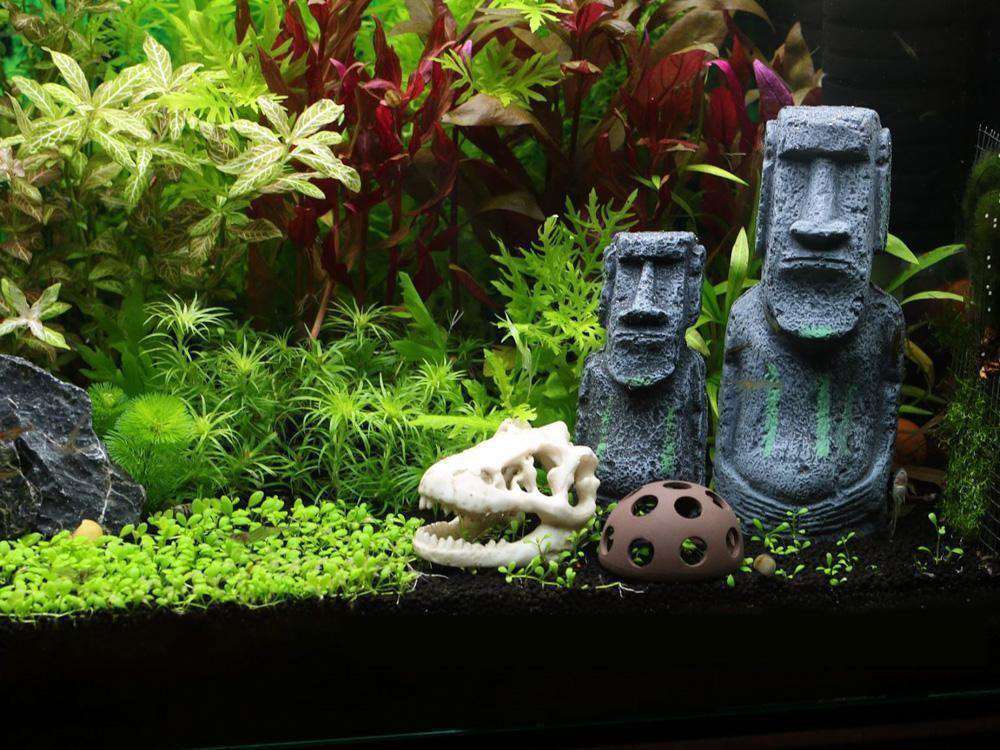 Micro Aquatic Shop Aquarium Decorations Large / 1 Pc Easter Island Heads- Stone Statue- Aquarium Decorations