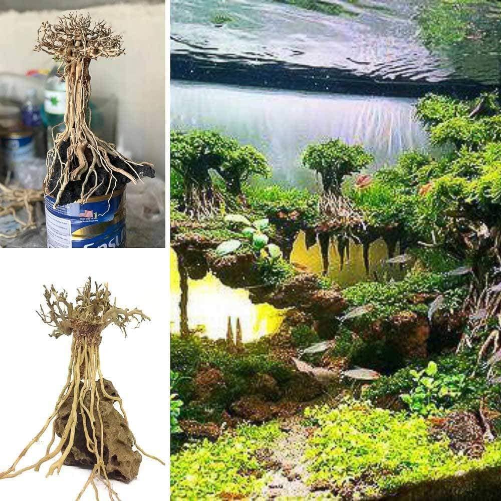 Micro Aquatic Shop Small Bonsai Driftwood Nature Root Style Driftwood tree on Volcanic Rock