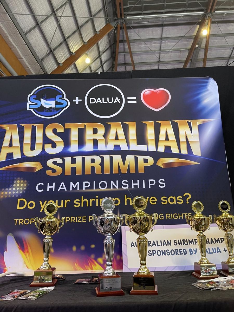 Australian Shrimp Championships