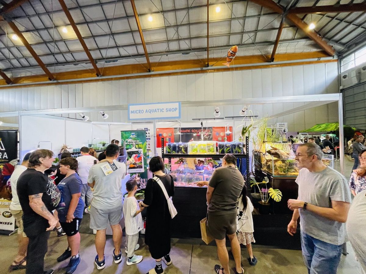 Visitors at the Micro Aquatic Shop aquarium expo booth