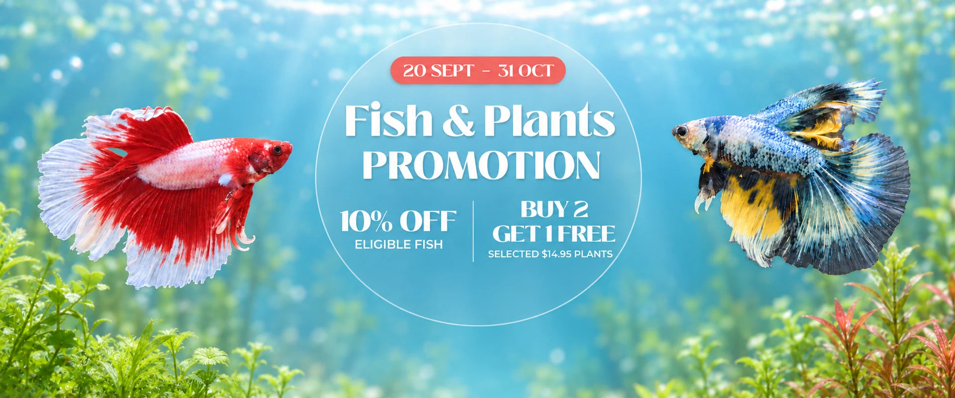 20 September to 31 October. Fish & Plants Promotion. 10% off eligible fish. Buy 2, get 1 free on selected A$14.95 plants.