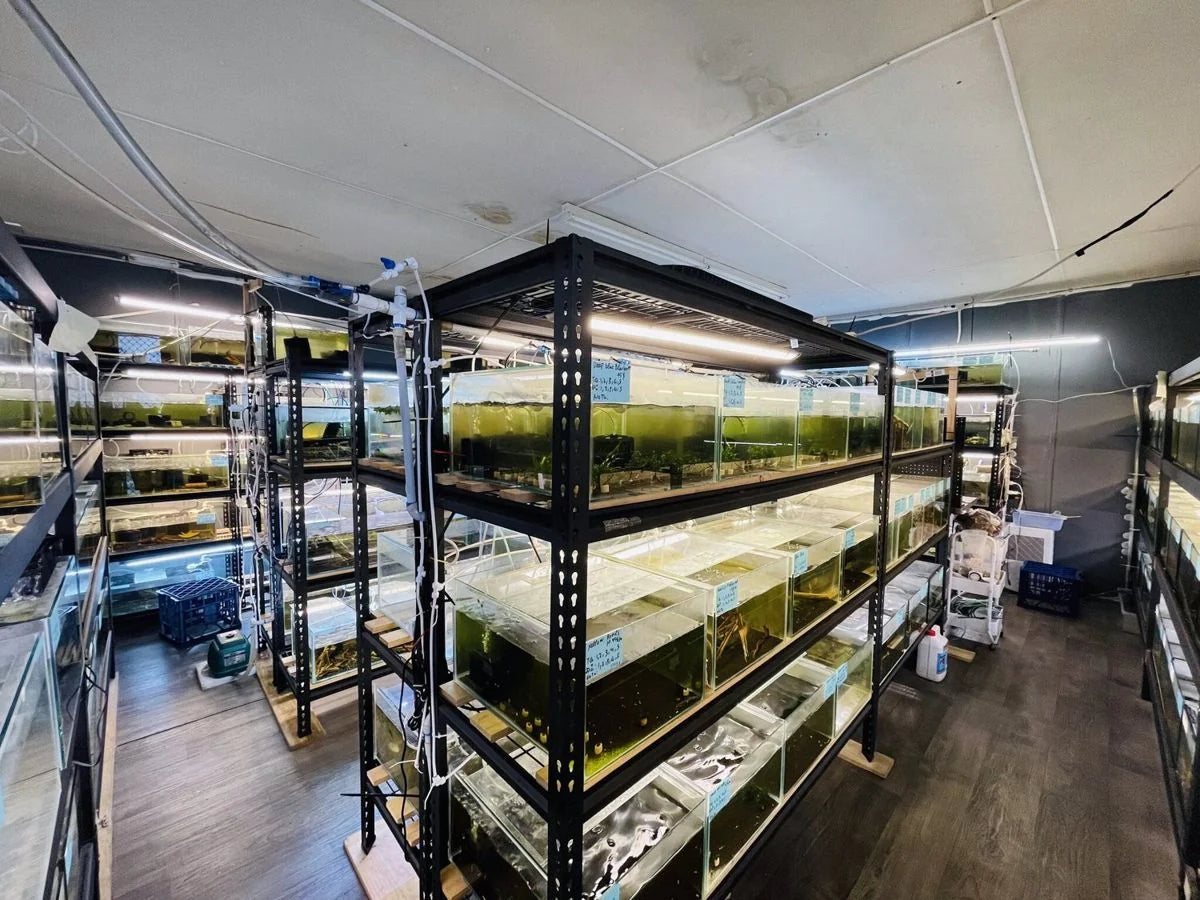 Aquarium systems inside Micro Aquatic Shop